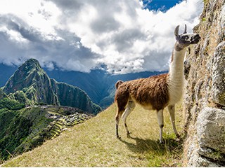 Machu Picchu 